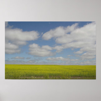 Prairie Fields Print Manitoba Landscape Prints