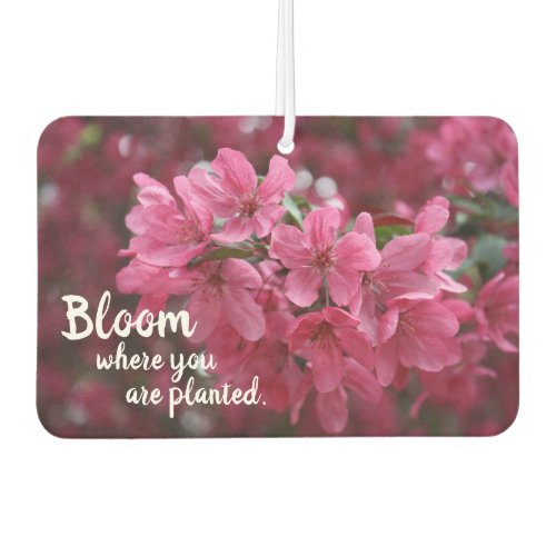 Prairie Fire Crab Apple_Bloom Where Youre Planted Air Freshener