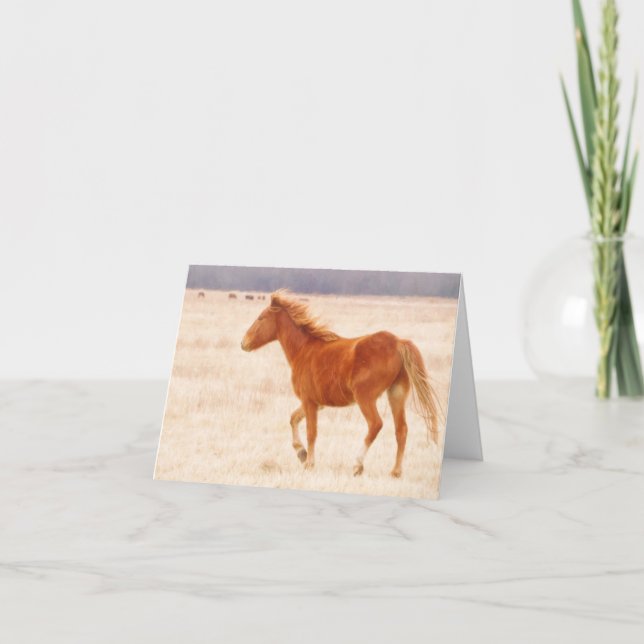 Prairie Fire Thank You Card (Front)