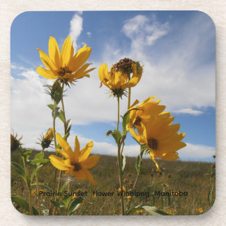 Prairie Flower Hard plastic coaster