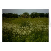 Prairie Flowers Card (Front Horizontal)