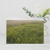 Prairie Grass (Standing Front)