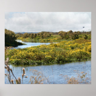 Prairie in Bloom Art Print -24x20-other sizes also