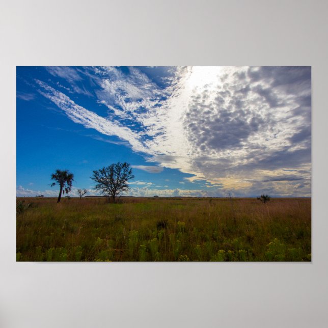 Prairie, Kissimmee Prairie Preserve State Park, FL Poster (Front)