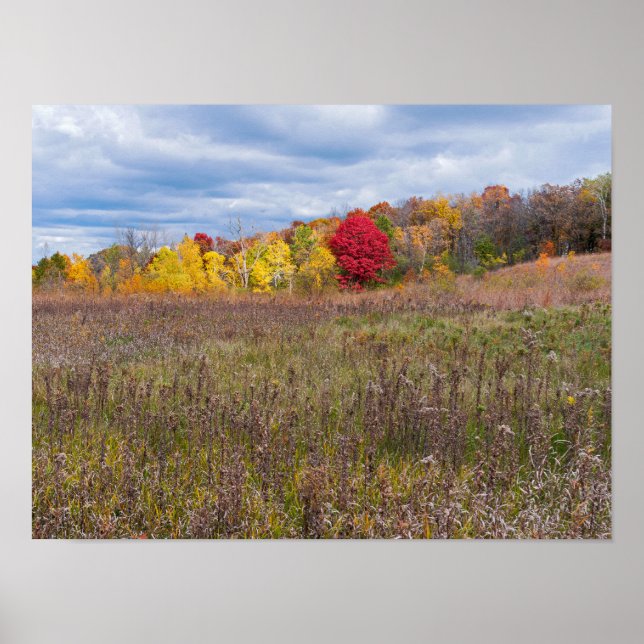 prairie landscape in autumn at afton state park  poster (Front)