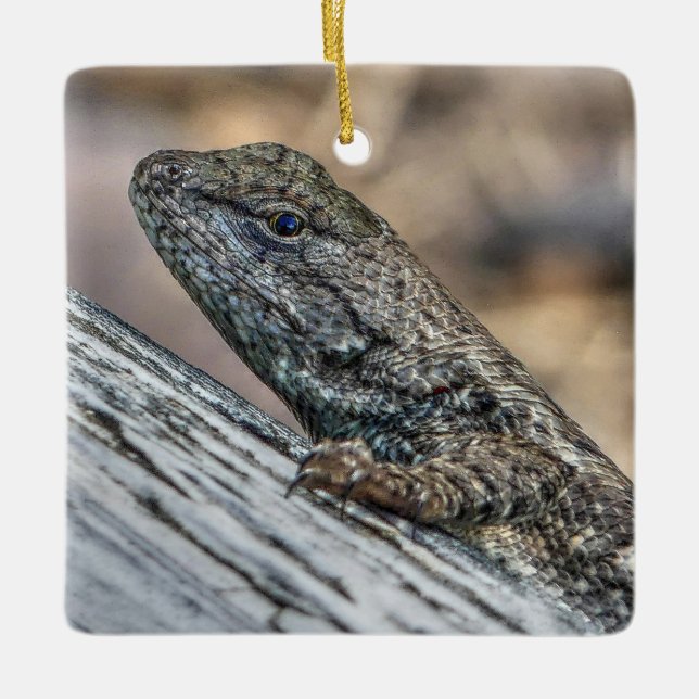 Prairie Lizard Ceramic Ornament (Front)