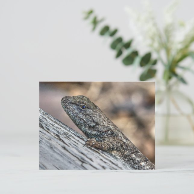 Prairie Lizard Postcard (Standing Front)