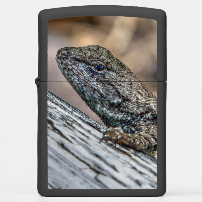 Prairie Lizard Zippo Lighter (Front)