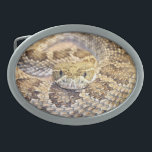 Prairie rattle snake oval belt buckle<br><div class="desc">Prairie rattlesnake face photo oval belt buckle</div>
