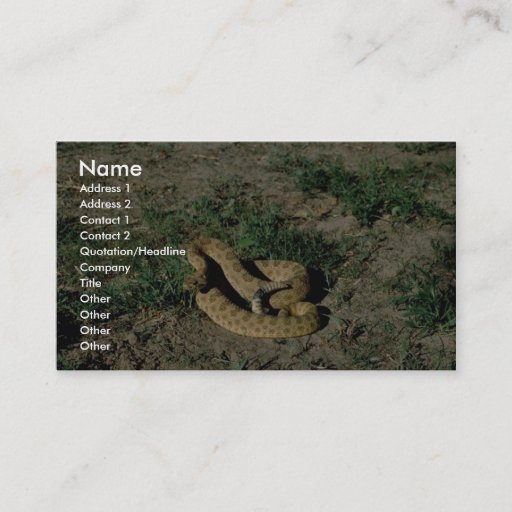 Customizable Prairie rattlesnake business cards