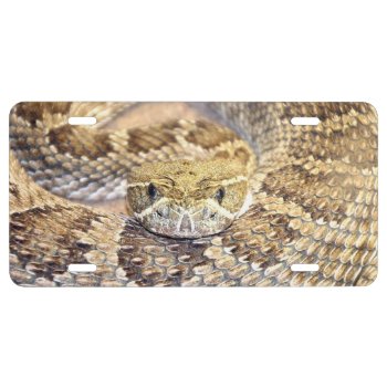 Prairie Rattlesnake Face License Plate by deemac1 at Zazzle