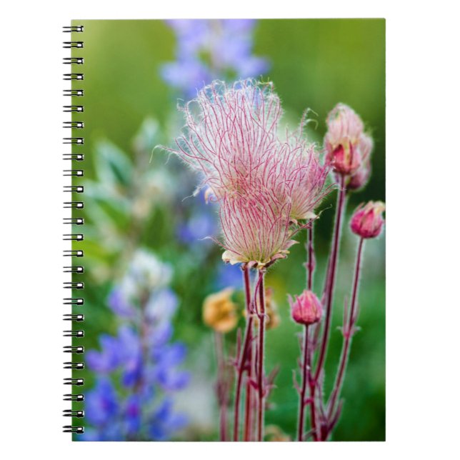Prairie Smoke Wildflowers In Aspen Grove 2 Notebook (Front)