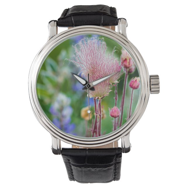 Prairie Smoke Wildflowers In Aspen Grove 2 Watch (Front)