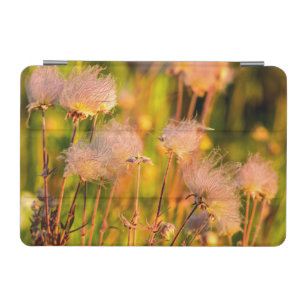 Prairie Smoke Wildflowers In Aspen Grove iPad Mini Cover