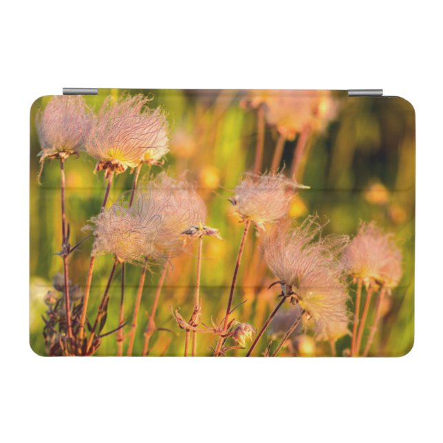 Prairie Smoke Wildflowers In Aspen Grove iPad Mini Cover (Horizontal)