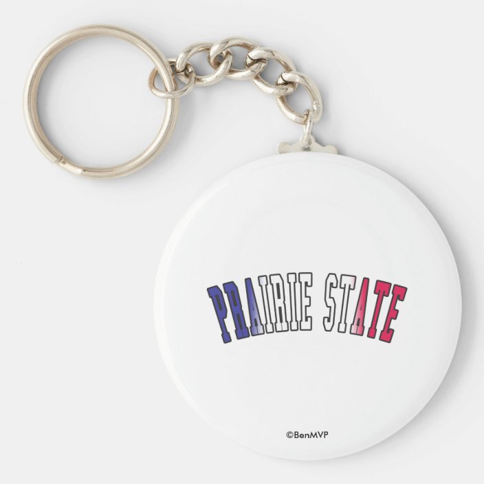 Prairie State in State Flag Colors Keychain