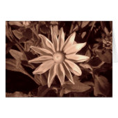 Prairie Sun Rudbeckia B&W (Front Horizontal)