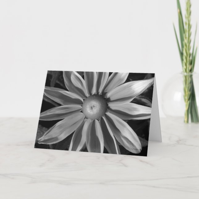 Prairie Sun Rudbeckia B&W Card (Front)