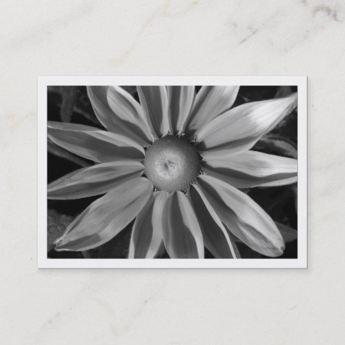 Prairie Sun Rudbekia, Mini Photo Business Card Template