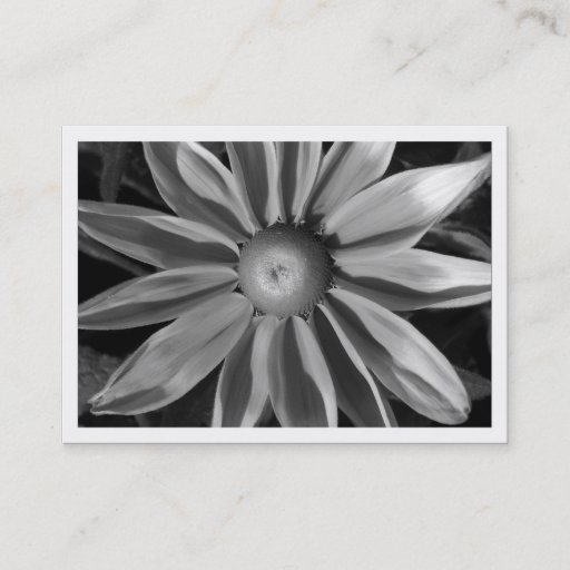 Customizable Prairie Sun Rudbekia, Mini Photo Business Card Template
