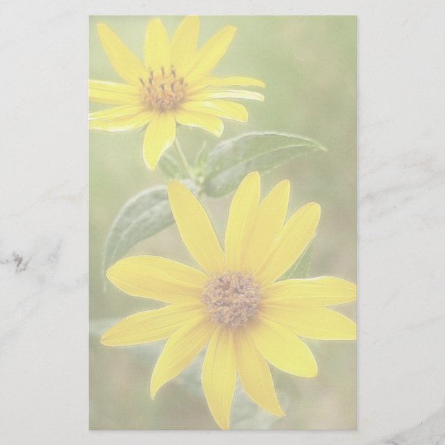 Prairie Sunflower - Helianthus maximilianii Stationery (Front)