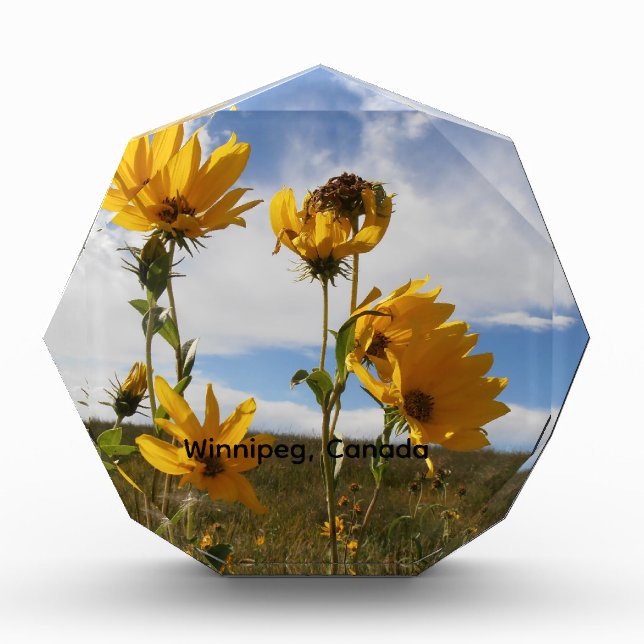 Prairie Sunset  Photo Block (Front)