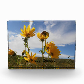 Prairie Sunset Photo Block