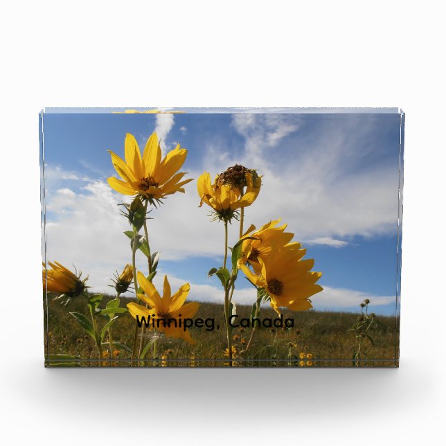 Prairie Sunset  Photo Block (Front)
