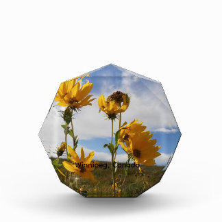 Prairie Sunset Photo Block