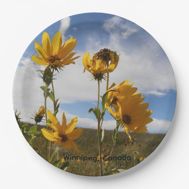 Prairie Sunset round paper plate (Front)