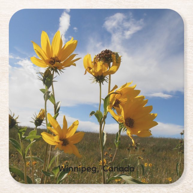 Prairie Sunset square paper coaster (Front)