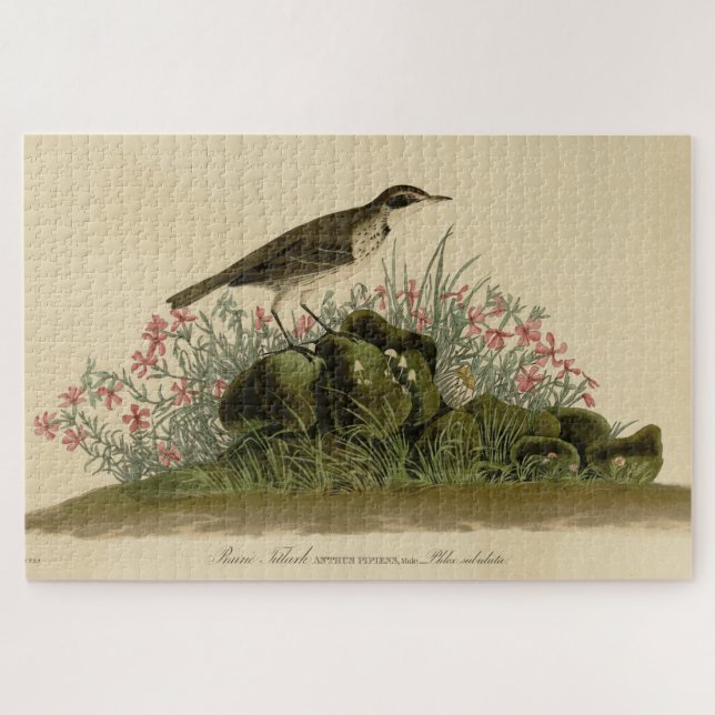 Prairie Titlark (Pipit) Audubon's Birds of America Jigsaw Puzzle (Horizontal)