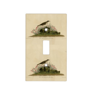 Prairie Titlark (Pipit) Audubon's Birds of America Light Switch Cover