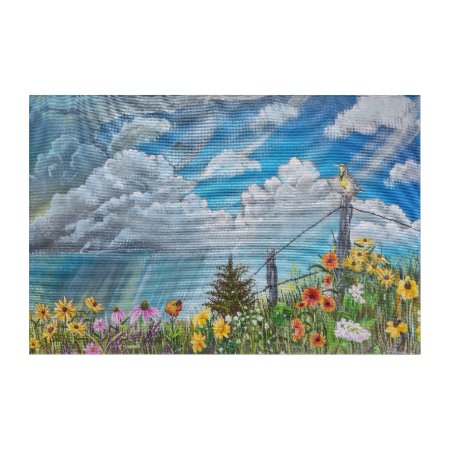 Prairie Wildflowers And Thunderstorm Acrylic Print