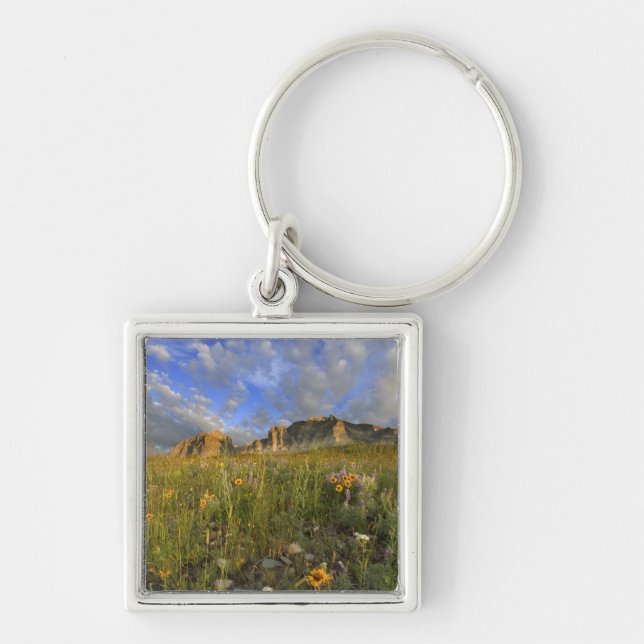 Prairie Wildflowers at Windy Creek in the Many Keychain (Front)