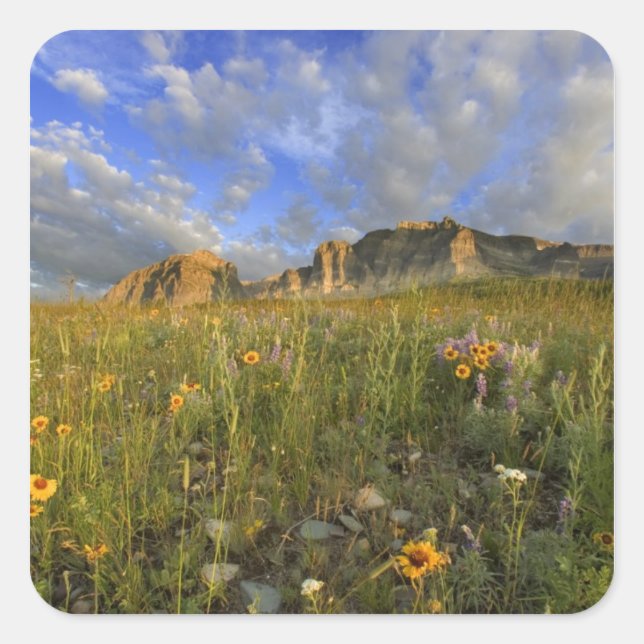 Prairie Wildflowers at Windy Creek in the Many Square Sticker (Front)