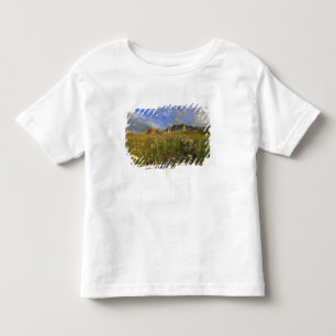 Prairie Wildflowers at Windy Creek in the Many Toddler T-shirt