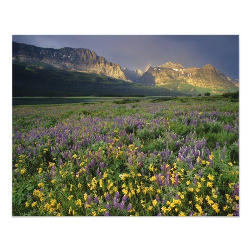 Prairie wildflowers fill meadow near Lake Photo Print