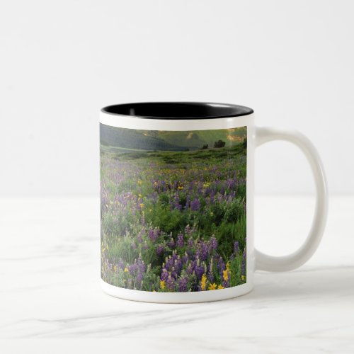 Prairie wildflowers fill meadow near Lake Two_Tone Coffee Mug