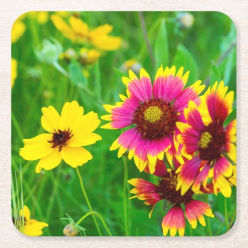 Prairie wildflowers in Hill Country Square Paper Coaster