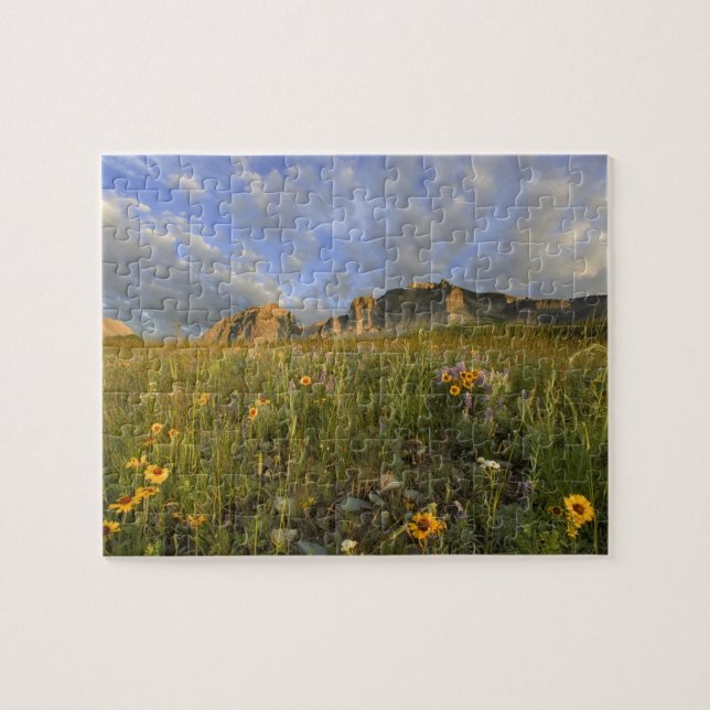 Prairie Wildflowers in Many Glacier Valley at Jigsaw Puzzle (Horizontal)