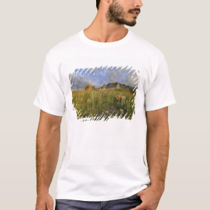 Prairie Wildflowers in Many Glacier Valley at T-Shirt