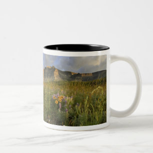 Prairie Wildflowers in Many Glacier Valley at Two-Tone Coffee Mug