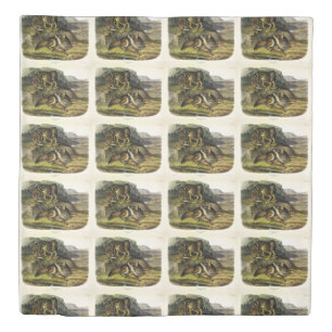Prairie Wolf (Coyote) from Audubon's Quadrupeds Duvet Cover