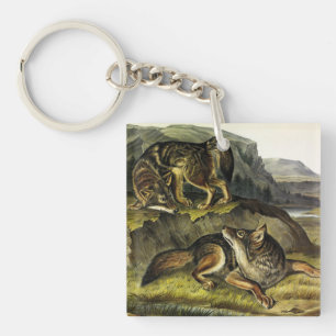 Prairie Wolf (Coyote) from Audubon's Quadrupeds Keychain
