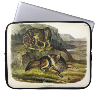 Prairie Wolf (Coyote) from Audubon's Quadrupeds Laptop Sleeve