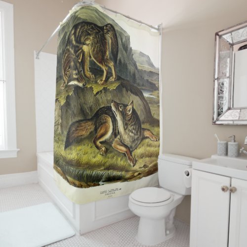 Prairie Wolf Coyote from Audubons Quadrupeds Shower Curtain