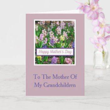 (praise For) Mother Of My Grandchildren/hyacinths Card by whatawonderfulworld at Zazzle