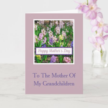 (praise For) Mother Of My Grandchildren/hyacinths Card