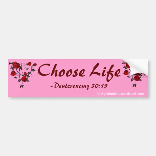 Praise Him N Pink Bible Quote Customize it Bumper Sticker